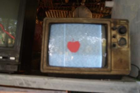 The Magic Box, That’s We Are Watching
